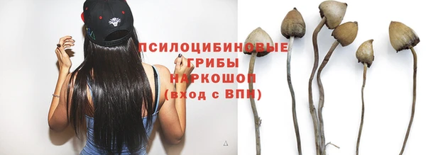 тгк Покров