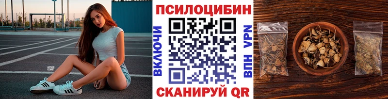 Псилоцибиновые грибы Cubensis Рыльск